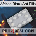 African Black Ant Pills 16